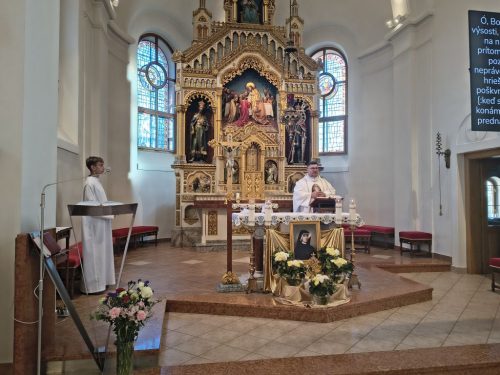 Fotografia 5 z 12