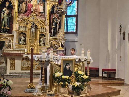 Fotografia 10 z 12