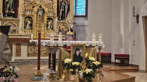Fotografia 7 z 12